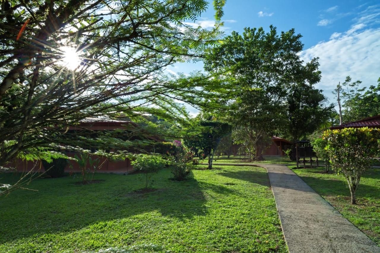 Natural Lodge Cano Negro Exterior photo